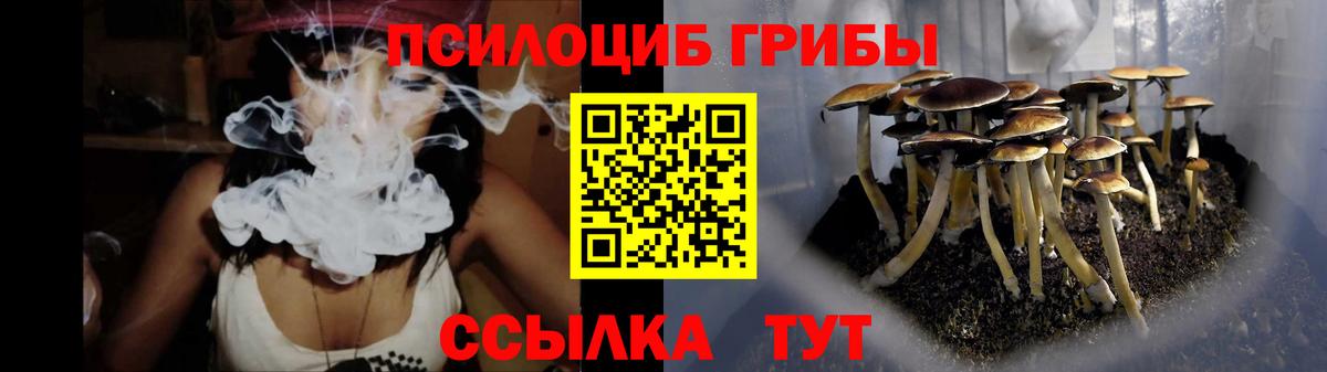 Галлюциногенные грибы MAGIC MUSHROOMS  Вход с VPN  Самара  Псилоцибиновые грибы мицелий 